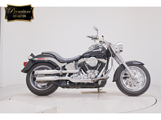 Harley-Davidson HARLEY FLSTF1580 2007