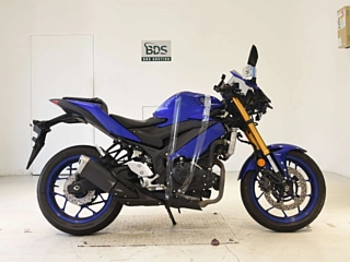 Yamaha YZF-R3 2019