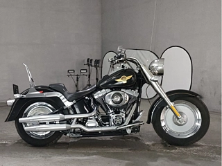 Harley-Davidson HARLEY FLSTF1540 2005