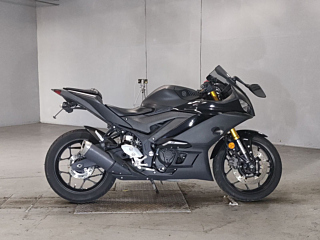Yamaha YZF-R3 2019