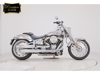 Harley-Davidson HARLEY FLSTFI1920 2025