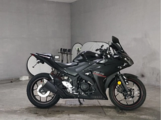 Yamaha YZF-R3 2019