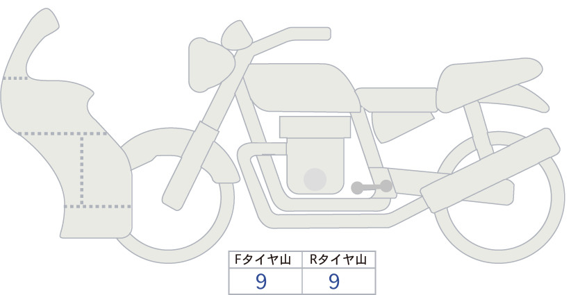 Аукционный лист BMW BMW S1000R 2025