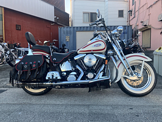 Harley-Davidson HARLEY FLSTS1450 2010