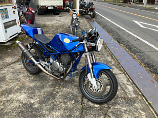 Suzuki GOOSE350 1994