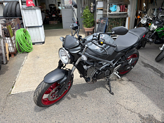 Suzuki SV650 ABS 2024