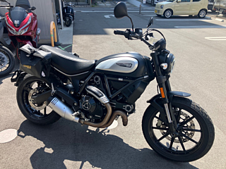Ducati DUCATI SCRAMBLER ICON 2021