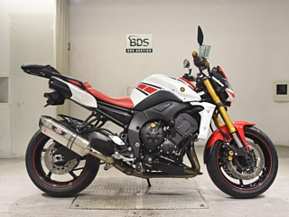 Yamaha FZ8-N 2013