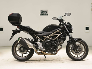 Suzuki SV650A 2024