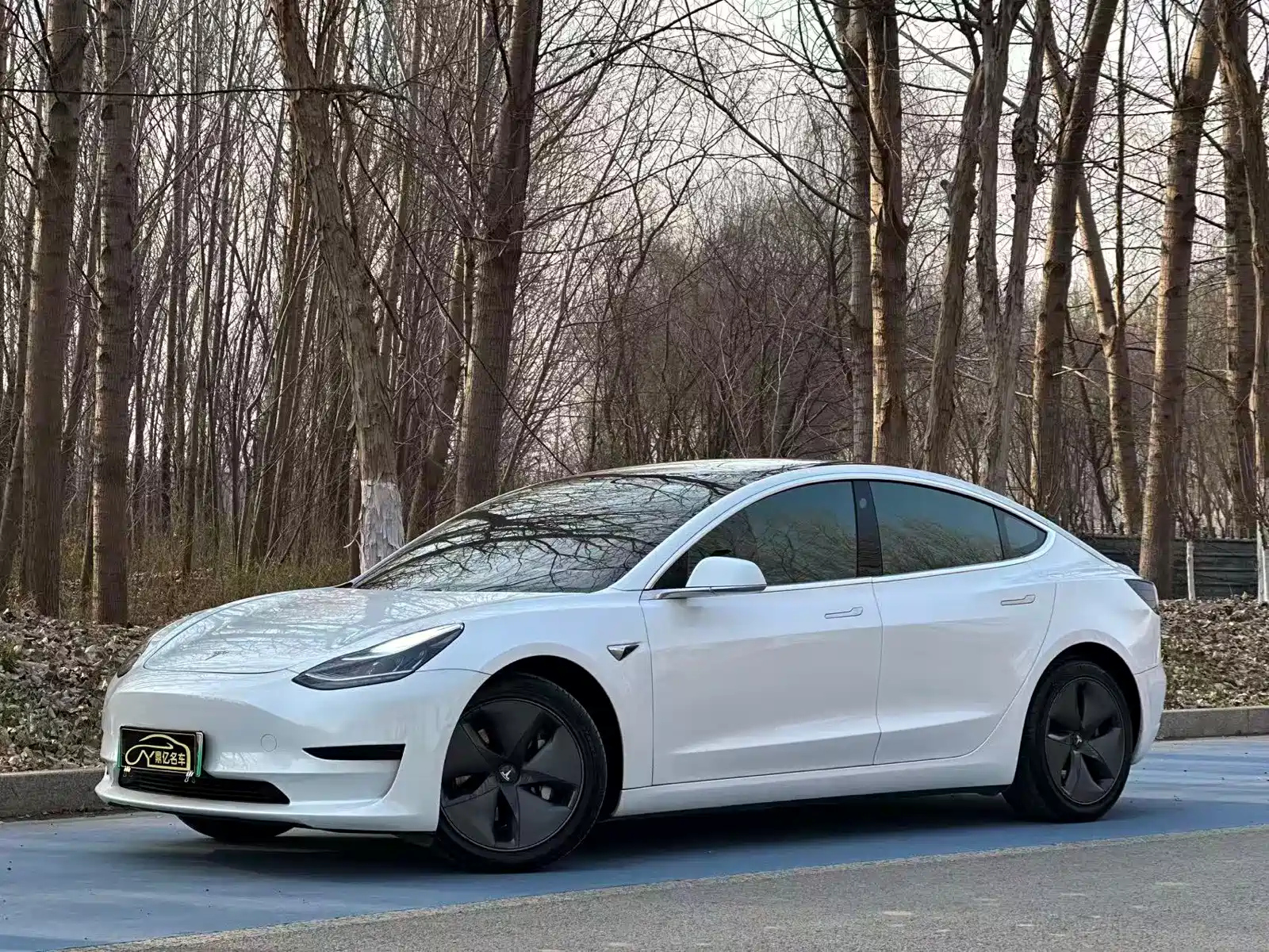 TESLA MODEL 3 IMPORT 2019