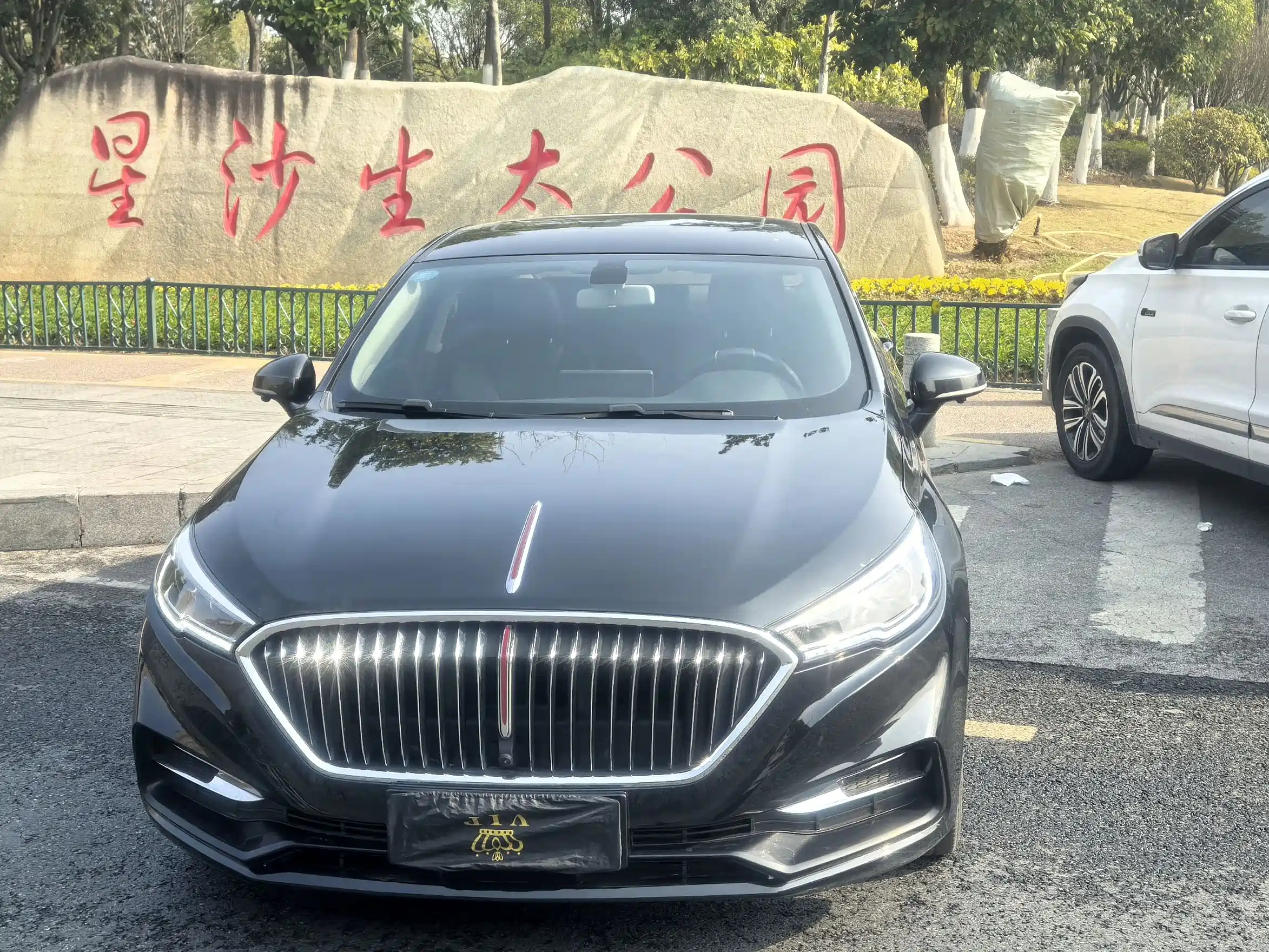 HONGQI H5 2020