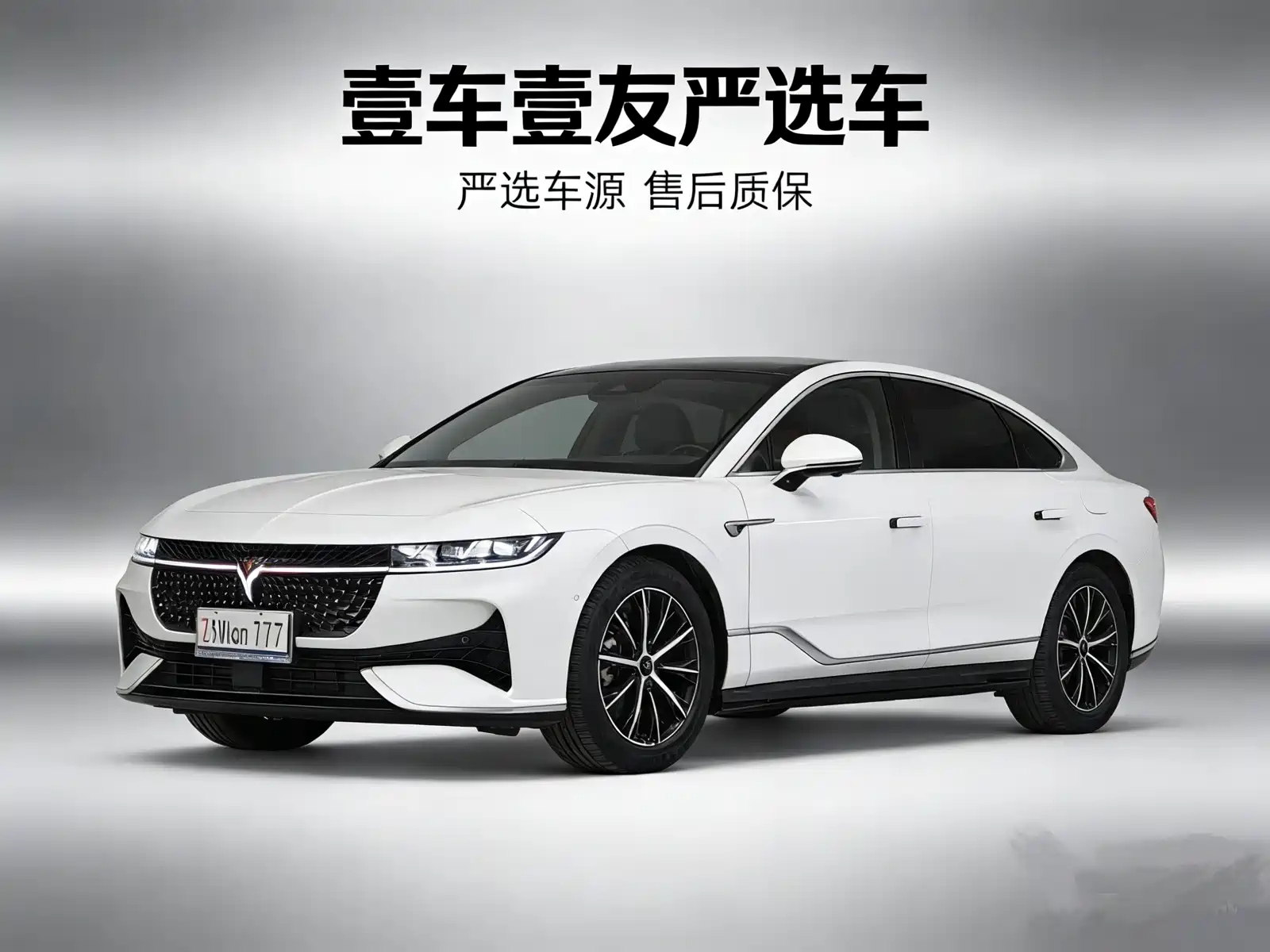 VOYAH ZHUIGUANG 2023