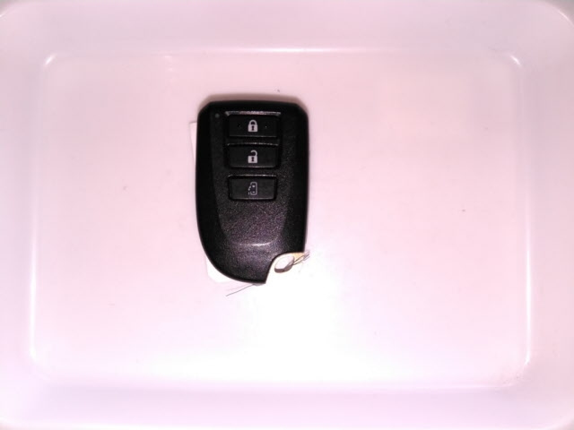 TOYOTA SPADE 2019