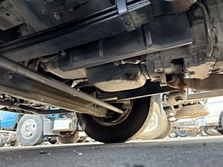 ISUZU ELF 2019