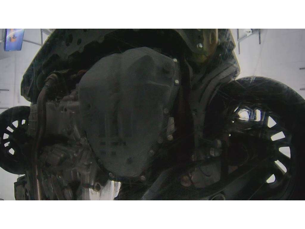 SUZUKI HUSTLER 2019