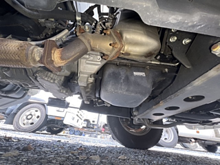 ISUZU ELF 2019