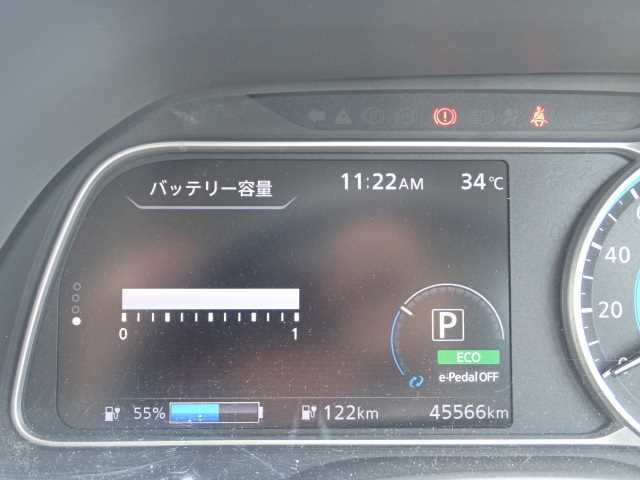 NISSAN LEAF 2019