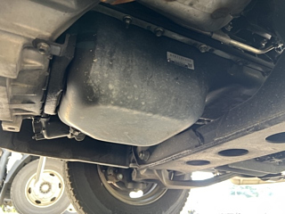 ISUZU ELF 2019