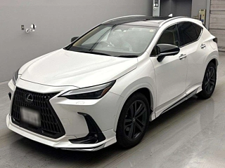 LEXUS NX 2023