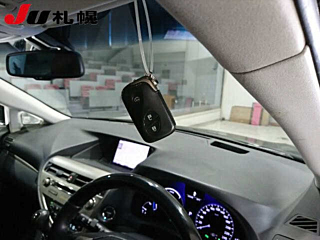 LEXUS RX 2013