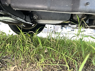 ISUZU ELF 2019