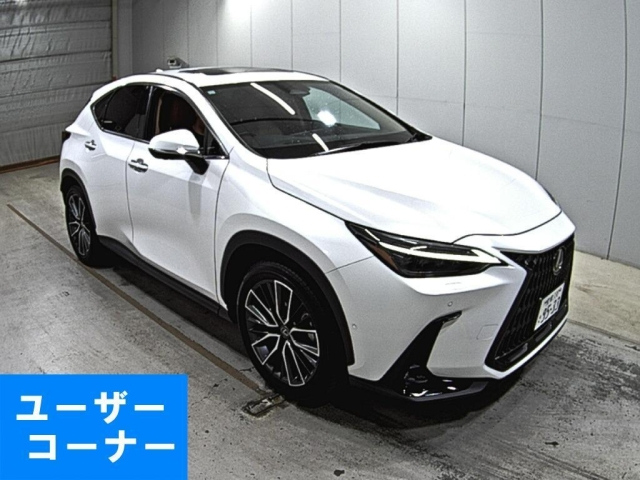 LEXUS NX 2023