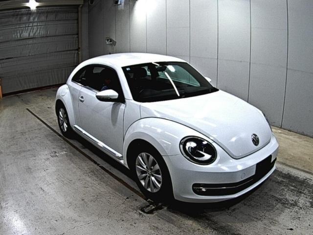 VOLKSWAGEN THE BEETLE 2015