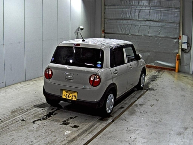 SUZUKI ALTO LAPIN 2019