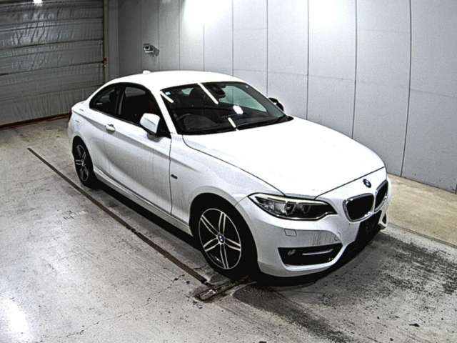 BMW 2 SERIES 2016