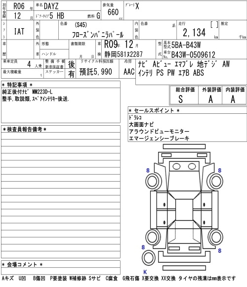 Аукционный лист NISSAN DAYZ 2024