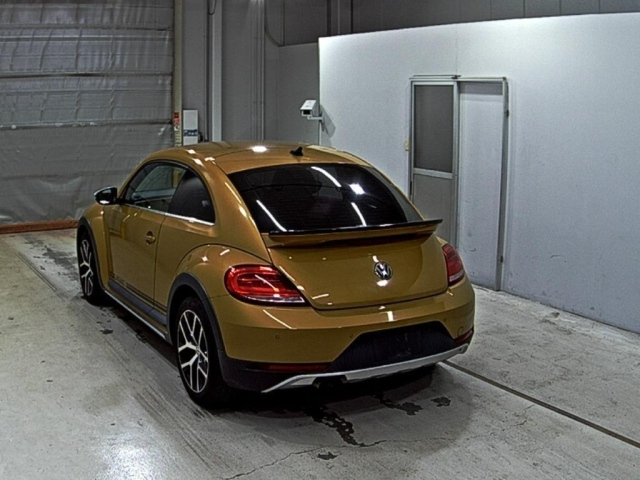 VOLKSWAGEN THE BEETLE 2016