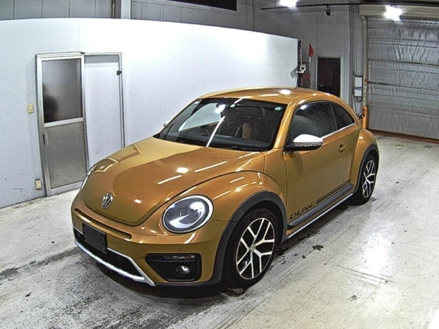VOLKSWAGEN THE BEETLE 2016