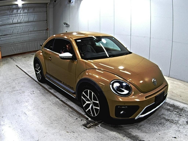 VOLKSWAGEN THE BEETLE 2016