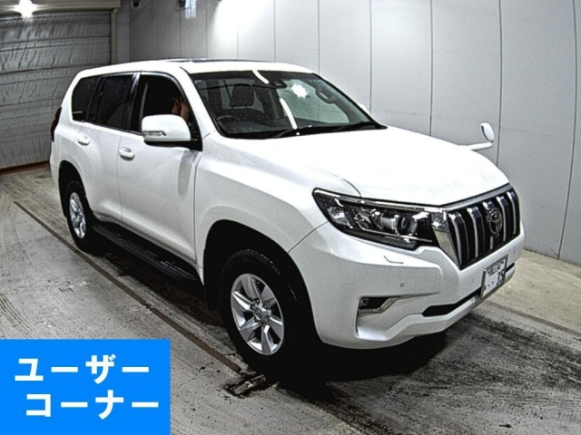 TOYOTA LAND CRUISER PRADO 2019