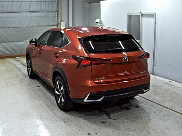LEXUS NX 2020