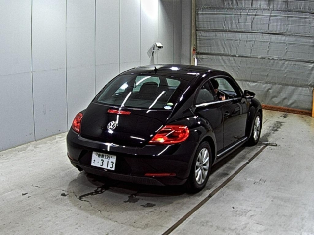 VOLKSWAGEN THE BEETLE 2013