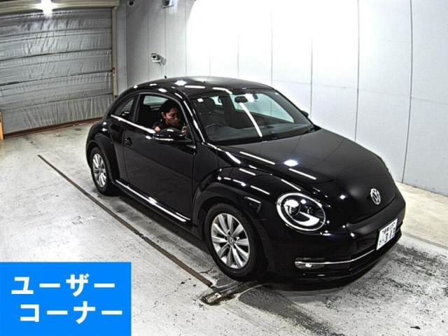 VOLKSWAGEN THE BEETLE 2013