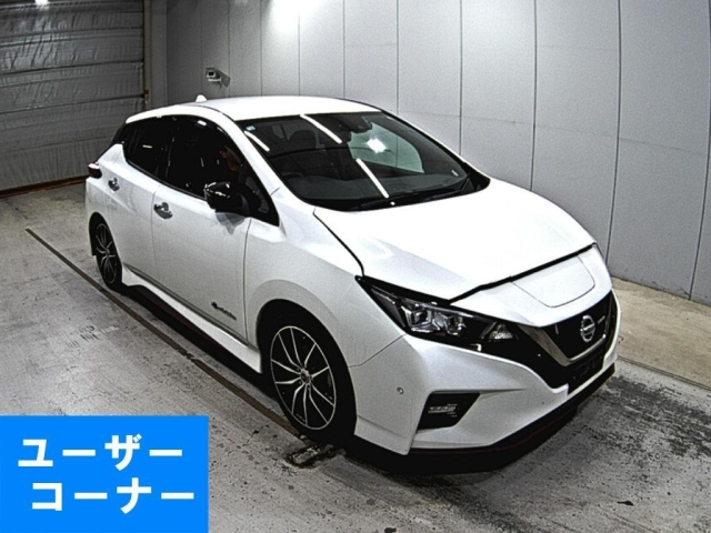NISSAN LEAF 2018