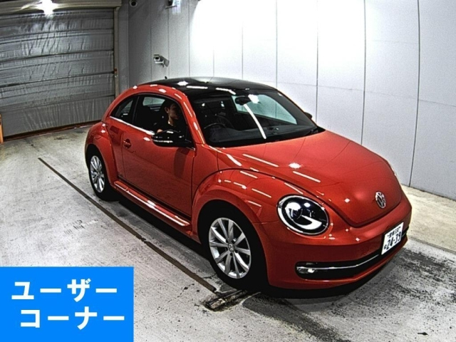 VOLKSWAGEN THE BEETLE 2016