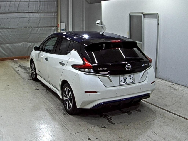 NISSAN LEAF 2019
