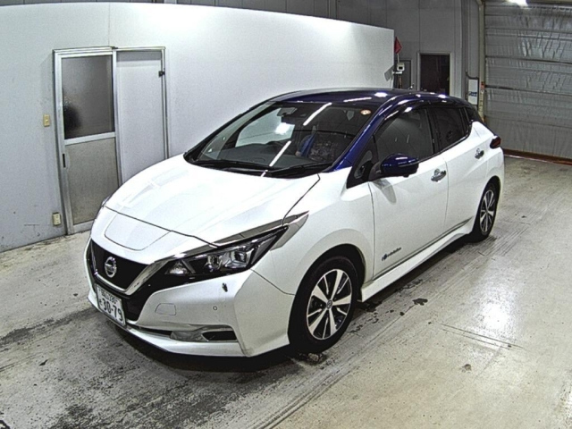 NISSAN LEAF 2019
