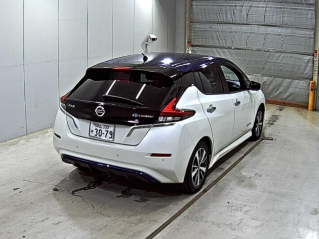 NISSAN LEAF 2019