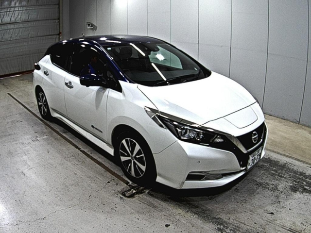 NISSAN LEAF 2019