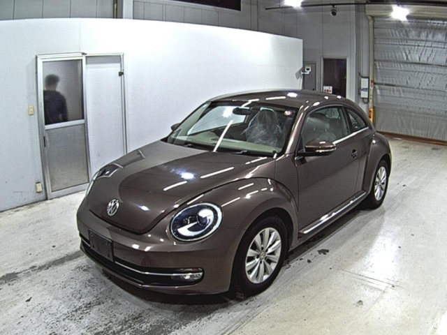 VOLKSWAGEN THE BEETLE 2014
