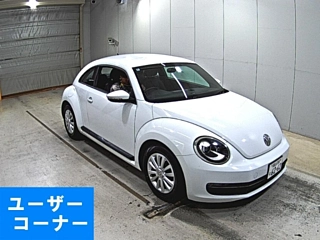 VOLKSWAGEN THE BEETLE 2016
