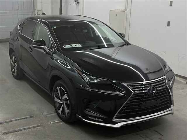 LEXUS NX 2019