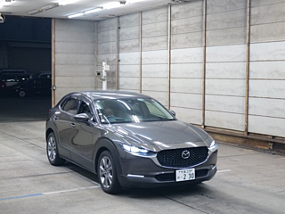 car preview