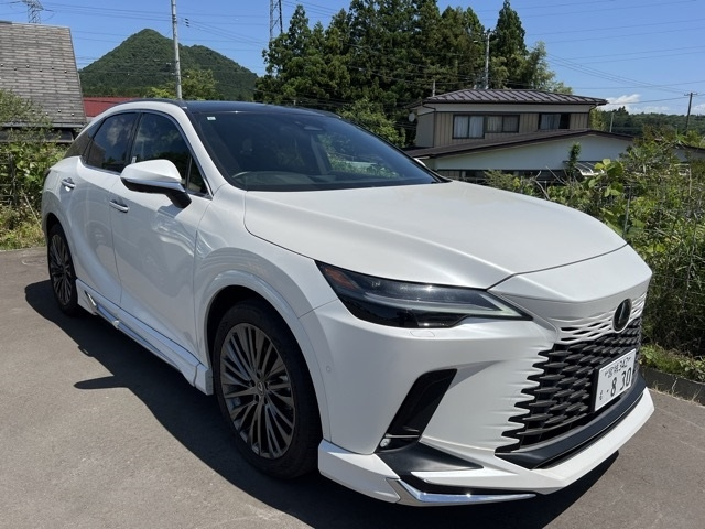 LEXUS RX 2023