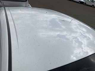 TOYOTA PRIUS 2021