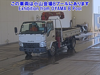 ISUZU ELF 2019